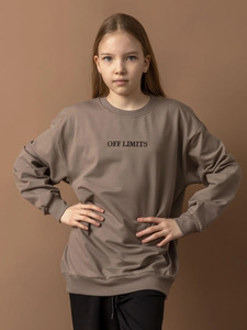 9354269 image