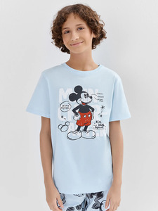 9354404 image