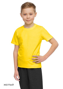 9356888 image