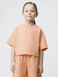9366160 image