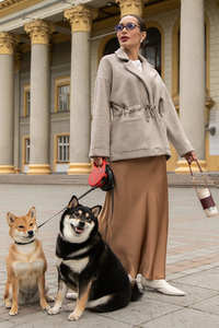 9312316 tzql5nxjwj92ip68v2u2l0no5vk4n8sq