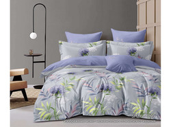 9341974 diz.11093 1200x890