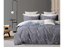 9341990 diz.1846 1200x890