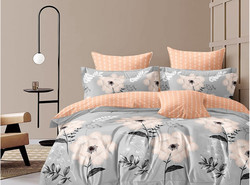 9342009 diz.524 1200x890