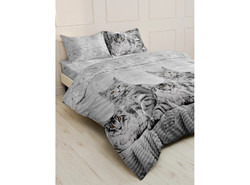 9342343 5(4) 1200x890