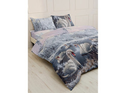 9342481 6(8) 1200x890