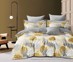 9374026 product 85 1782819168 0