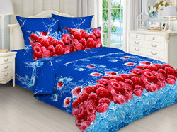 9374285 product 96 1783100048 0