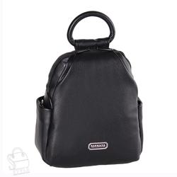 9208940 670102 black safenta 1930p 12x24x30 h6  1 