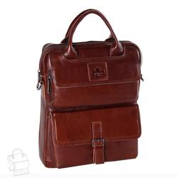 9209245 3887z brown zinimsk 3880p  1 
