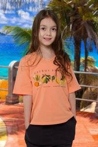 8541456